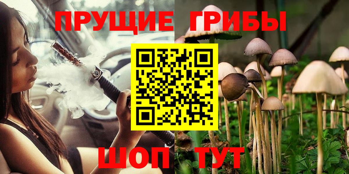 Псилоцибиновые грибы GOLDEN TEACHER Кстово