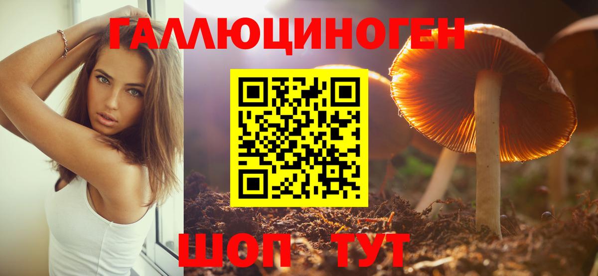 Псилоцибиновые грибы MAGIC MUSHROOMS  Вход с VPN  Галлюциногенные грибы мухоморы  Кстово 